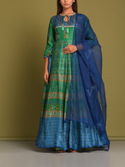 Green Vasansi Silk Printed Anarkali Gown